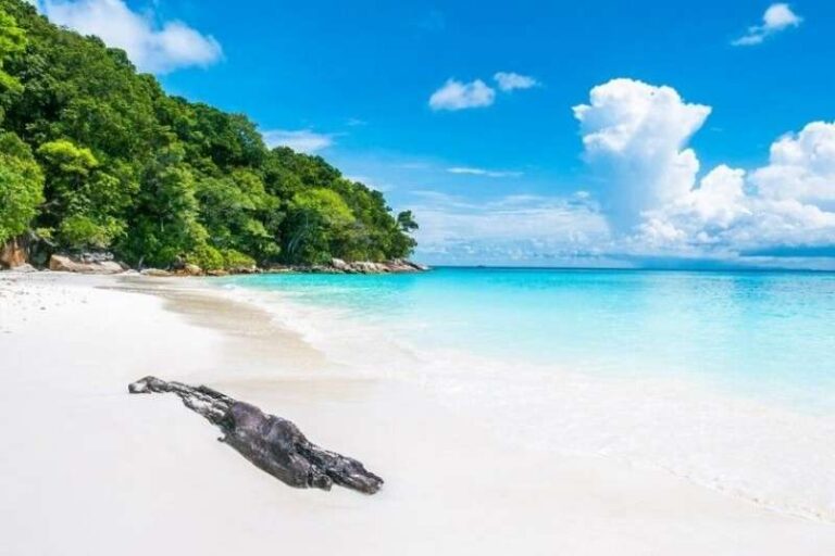 Andaman Island Super Saver Trip – Half Board