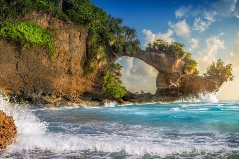 Amazing Andaman Deluxe Holiday - Half Board