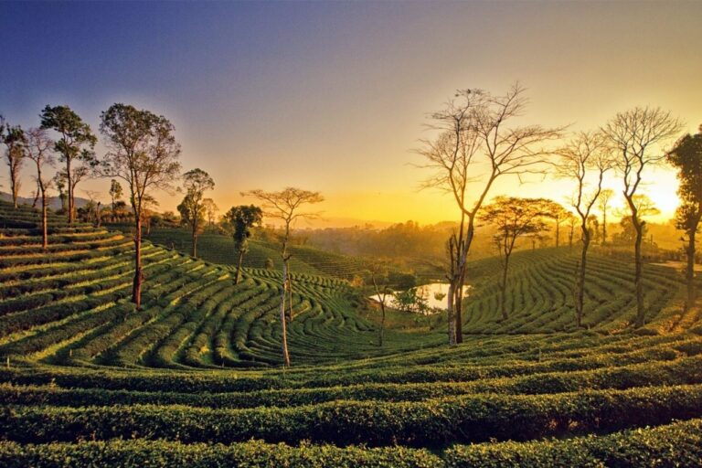 northeast-odyssey-assam-meghalaya-2