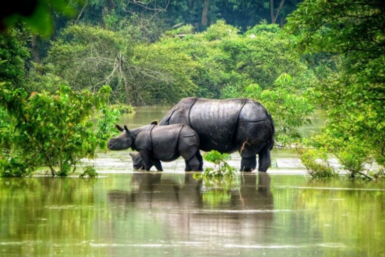 northeast-odyssey-assam-meghalaya-5